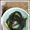 비상낚시터 이미지