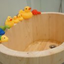 해피퍼피 강아지 유치원 이미지