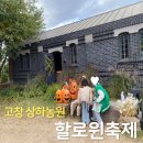 (5/21 저녁반) 플라워 힐링 클래스 | 고창 상하농원 할로윈 마지막날 후기｜주차 먹거리 사전예약