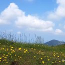 왕성목장 이미지