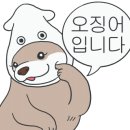 도시맥주청주오송점