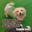 도그 빌리지 이미지