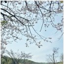 형제농원