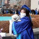 축하하개 이미지