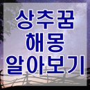 상추꿈해몽 풀이 상추따는꿈 상추먹는꿈 쌈싸먹는꿈 등 정리 이미지