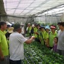 박종현농장 이미지