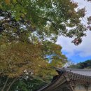 예쁘다 경주 이미지