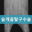 더바른동물병원 앞 이미지