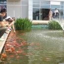 인삼랜드휴게소 이미지