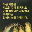 암을 극복할 수 있는 반가운 소식 이미지