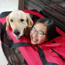 기연캔넬 이미지