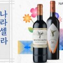 나라셀라갤러리아