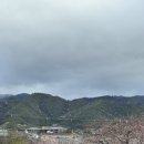 고양이 세수_설렘 이미지