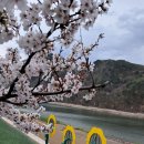 단양별소풍 이미지