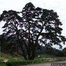 장현2리 이미지