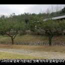 62회 영육쌍전법 – 건전한 생활 온전한 삶 이미지