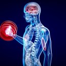 머슬메모리 이미지