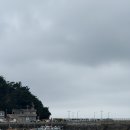 해루질 - 양산시 | 해루질