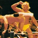 헐크호건 WWF HULKAMANIA (1984~1993) 시절 18 이미지