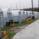 내사농장 이미지