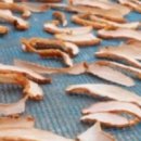 천마약국 이미지