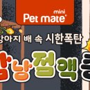 내품애동물병원 이미지