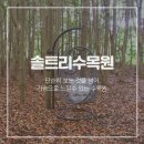9월 제주도 가족여행 관광지, 솔트리수목원 산책하기 좋다!