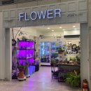 FLOPORT