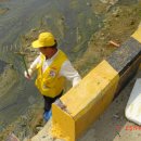 풍산동주민센터 이미지