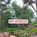 내리1길 이미지