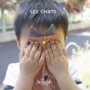 레샤(les chats)