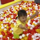 파레트팡 Daum카페
