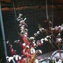 용계농장 이미지