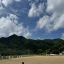 유성승마장 이미지