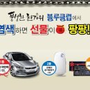 블루헤어샵 이미지