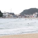 솔게스트하우스 양양서핑점 네이버블로그