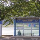 만성리길 이미지