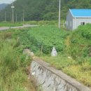 미천면-3 이미지