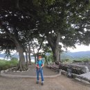 은산보건진료소 Daum카페