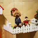 테리몽하우스 이미지