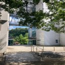 오펠라헬스케어코리아(주) 노동조합 | 고함량비타민 추천 비타민d아연 세노비스 꾸준하게