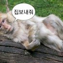 뚝딱