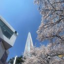 호수미