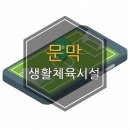 문막생활체육시설 축구장 이미지