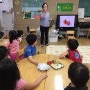 금계초교병설 이미지