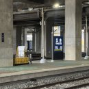 WR(대구광역시 중구)-50[국채보상로]-하-25 | 25년 11월_대포여행(대구-포항으로 혼여를 가다_대구편)