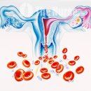 오동나무한의원 이미지