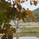 구계1리 이미지