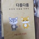 다름 | 대전 은행동 이색 데이트 코스 커플 관계 해석 상담 다름다룸 후기