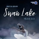 해설이 있는 발레 <백조의 호수> 이미지